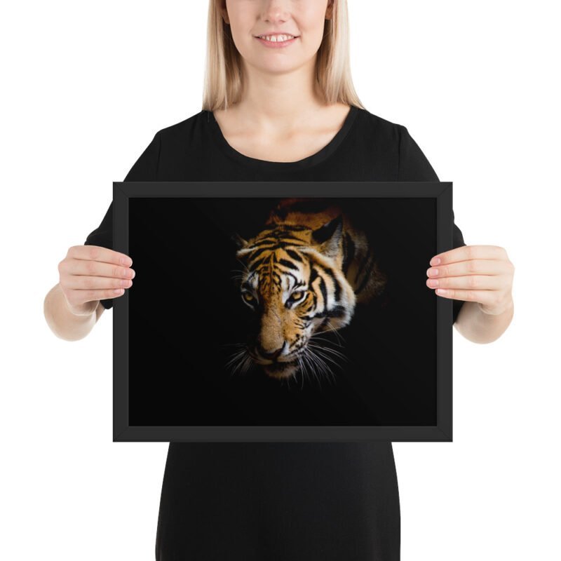 Eye of the Tiger - Image 6