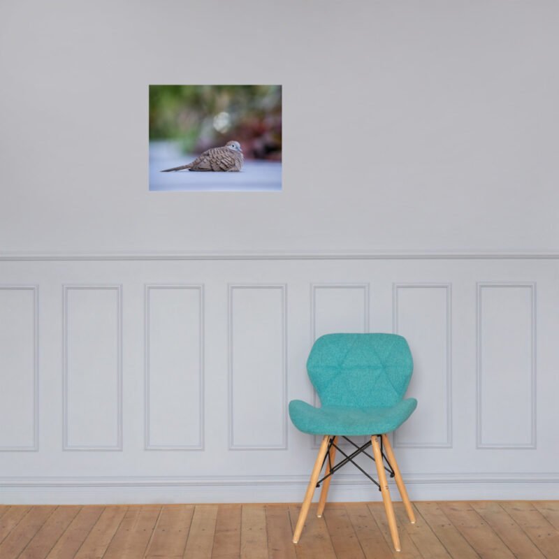 Wild Dove Poster - Image 23