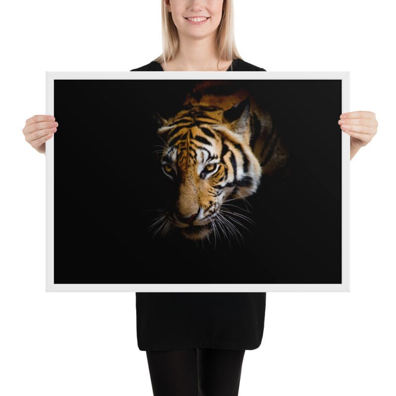 Eye of the Tiger - Image 4