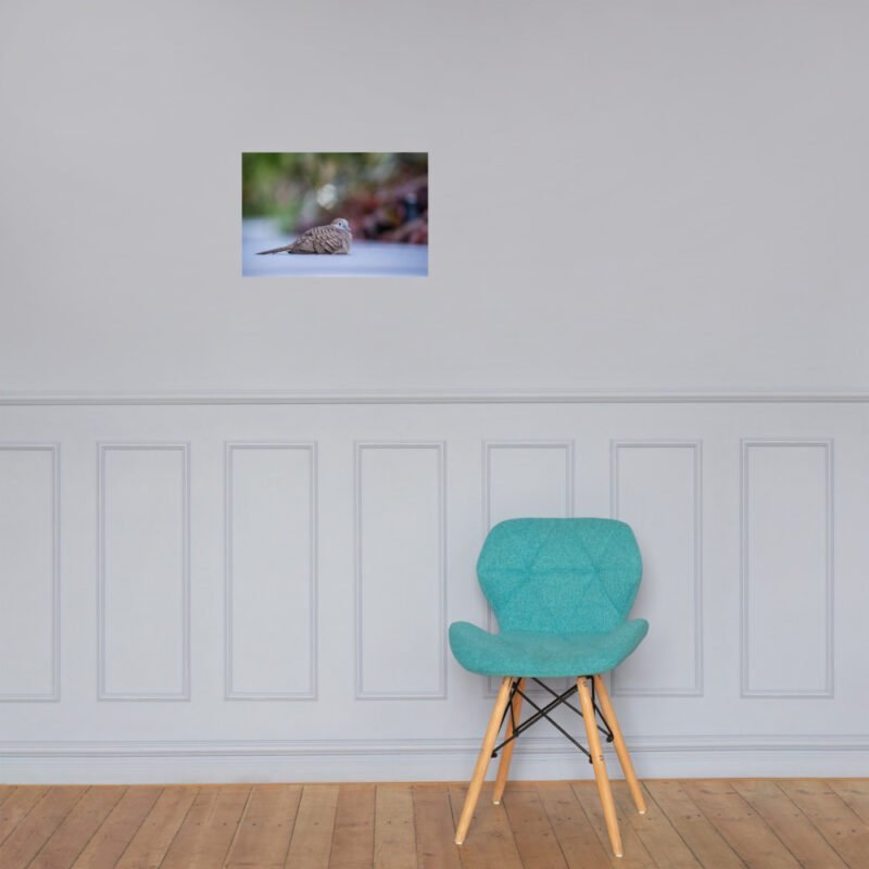 Wild Dove Poster - Image 17