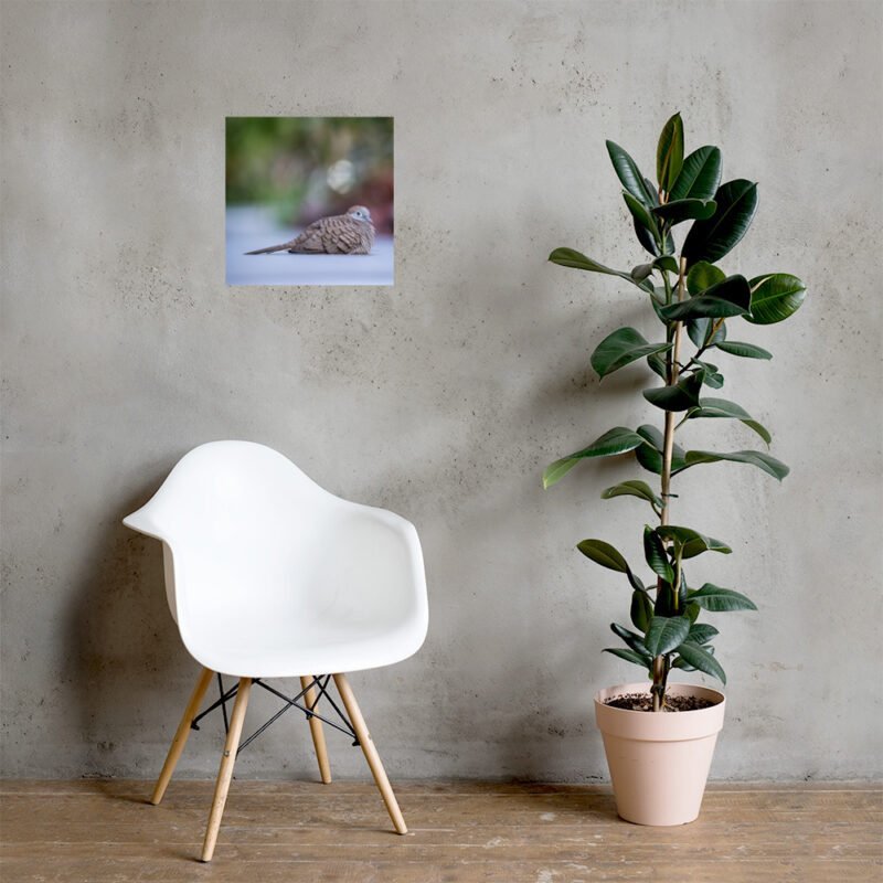Wild Dove Poster - Image 19