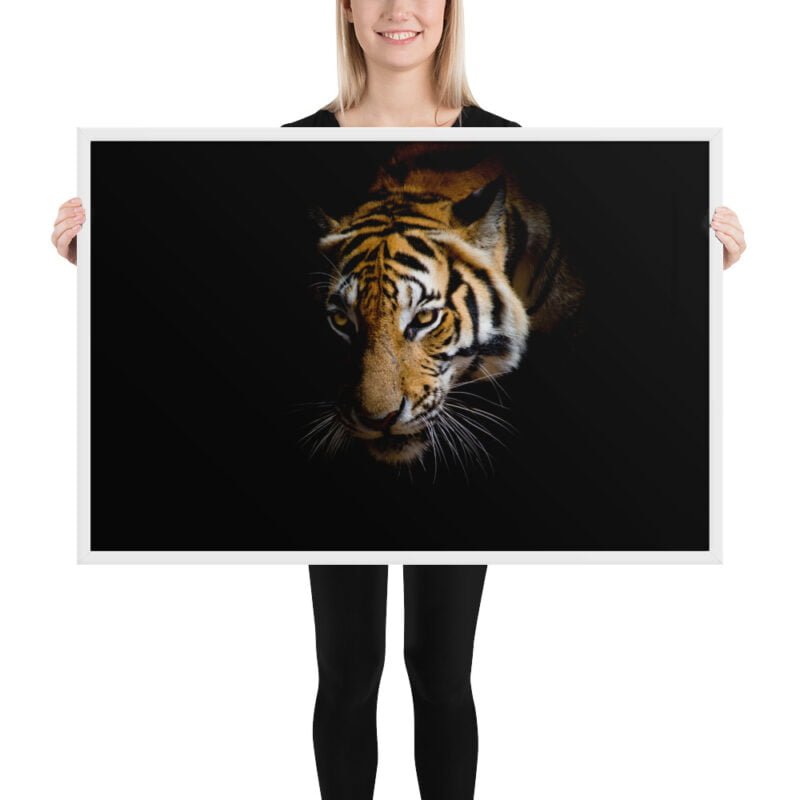 Eye of the Tiger