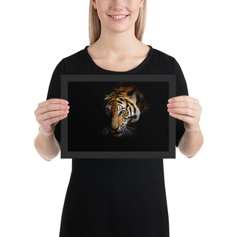 Eye of the Tiger - Image 5
