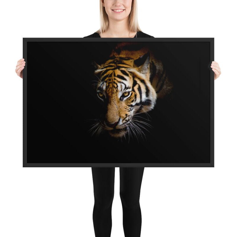 Eye of the Tiger - Image 8