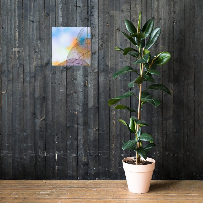 Transparent Leaves Poster - Image 21