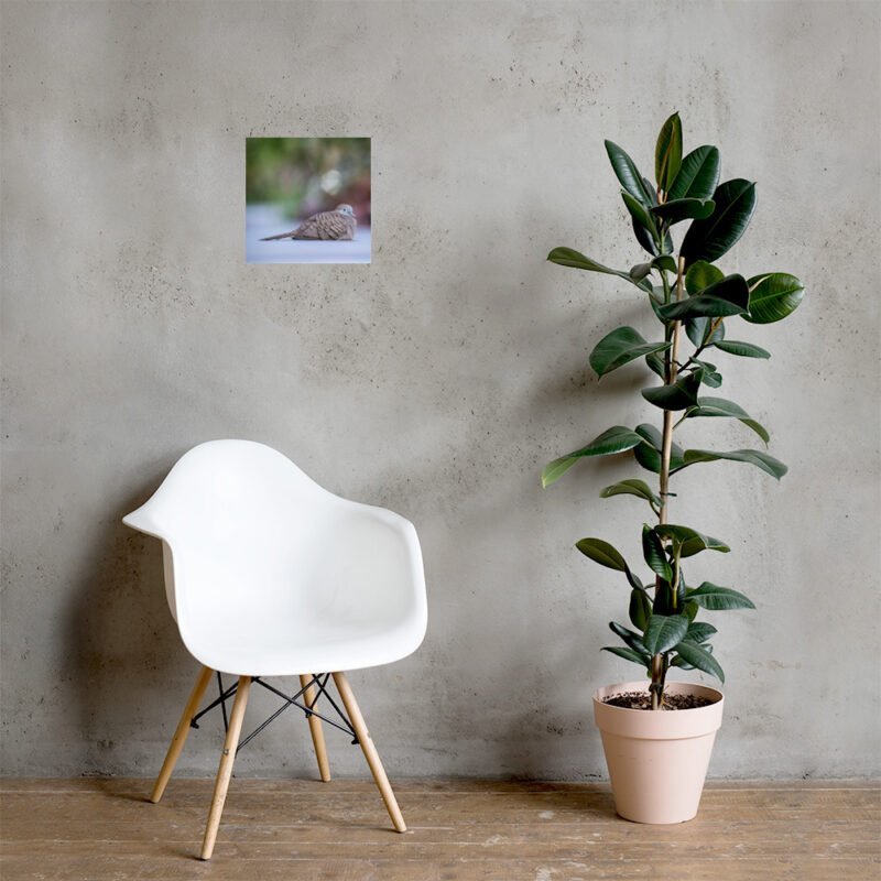 Wild Dove Poster - Image 7