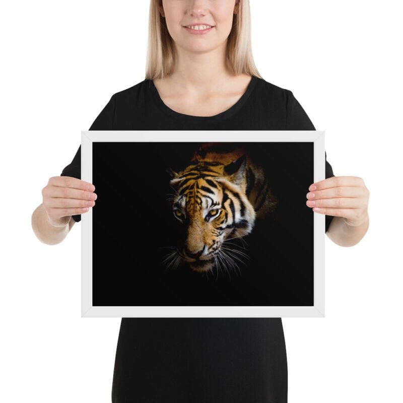Eye of the Tiger - Image 3