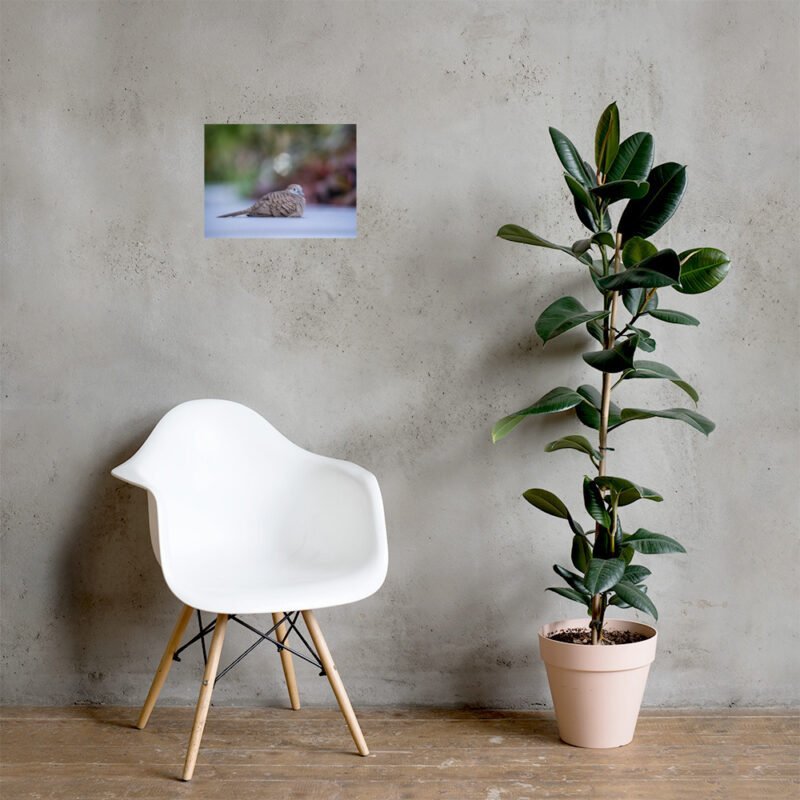 Wild Dove Poster - Image 10