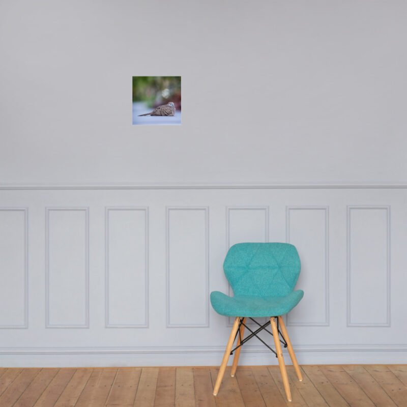 Wild Dove Poster - Image 5