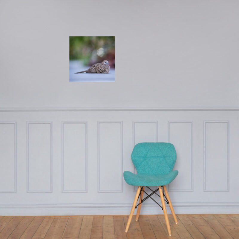 Wild Dove Poster - Image 20