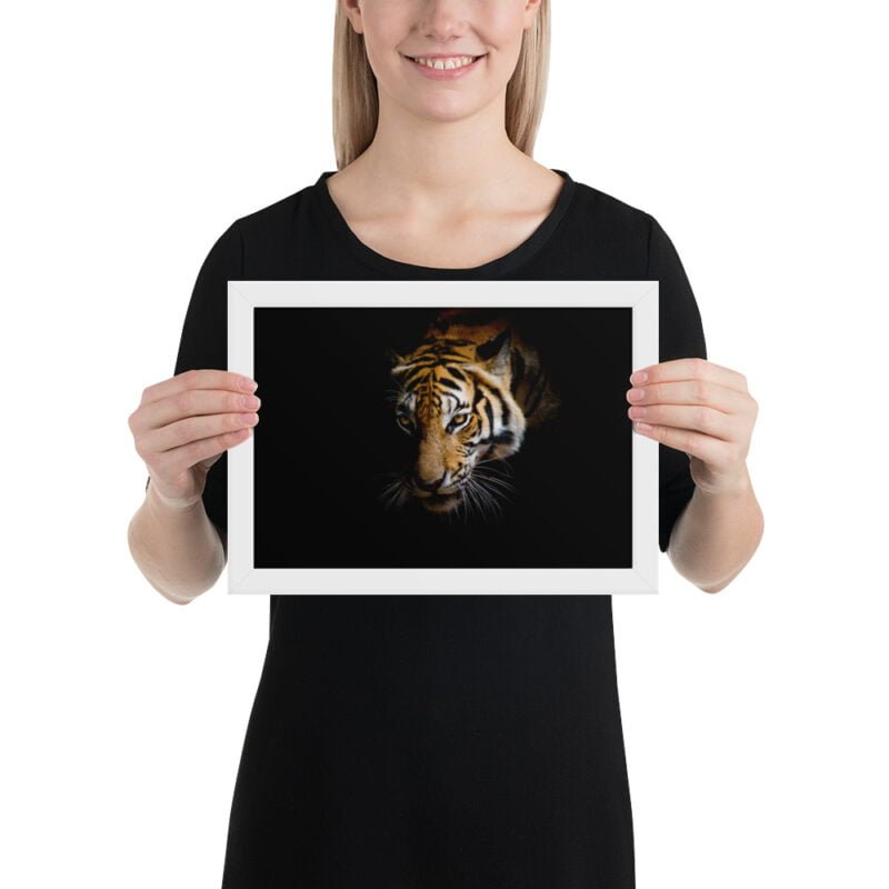 Eye of the Tiger - Image 2